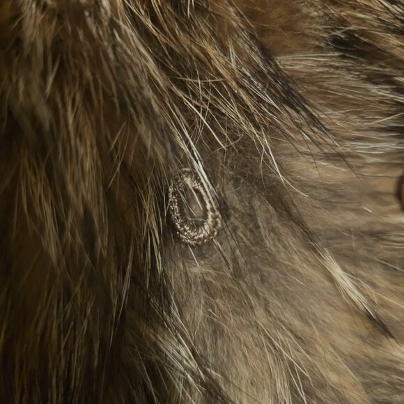 Beautiful Full Length Tanuki Raccoon Fur Coat - Picture 9 of 11